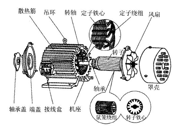 三相異步電動機的六種分類方法及具體分類。