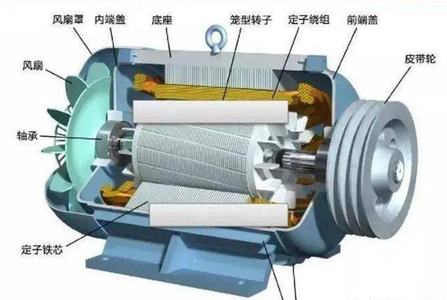 泰富西瑪關(guān)于低壓籠型三相異步電動機(jī)的結(jié)構(gòu)與選型